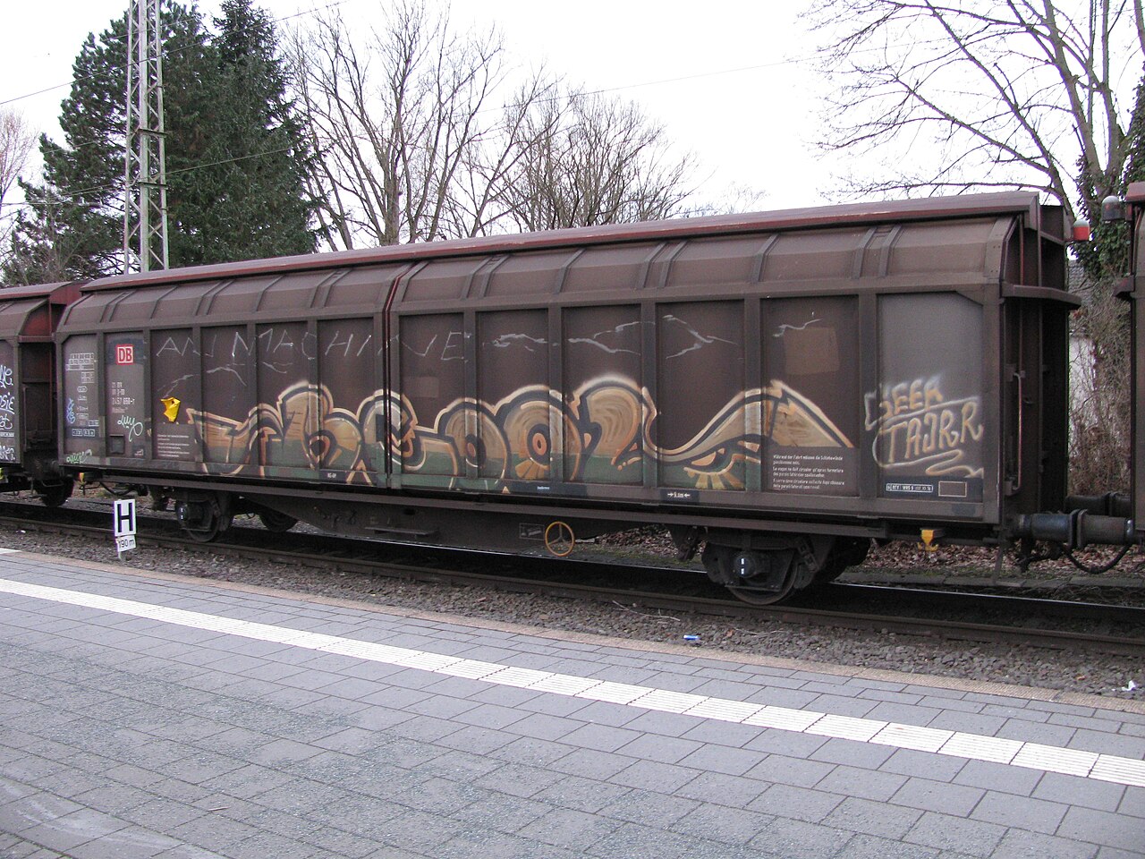 Schiebewandwagen Habbillns der DB in Celle